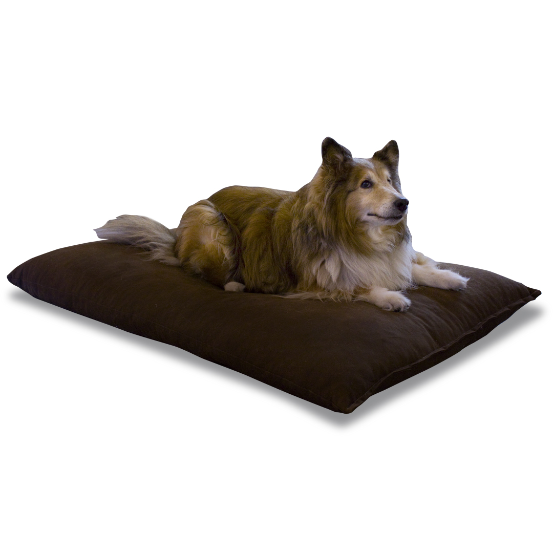 Orthopedic Pet Bed - Latex and Organic Cotton with Removable Cover